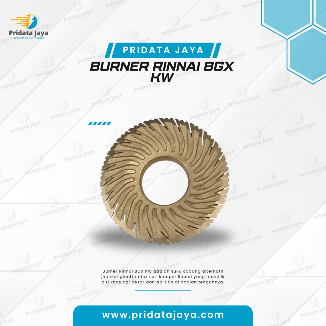 Burner Rinnai BGX KW