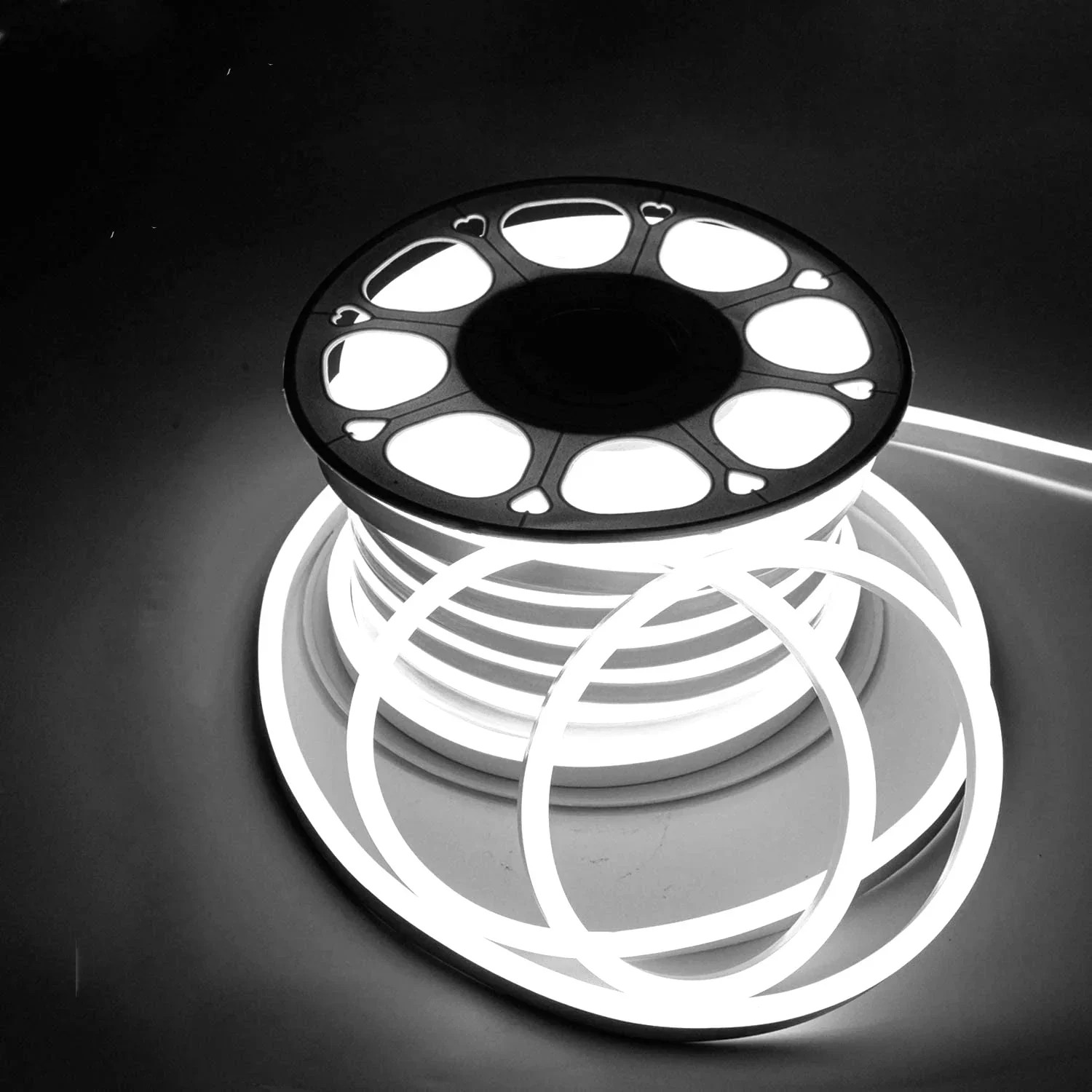 Led Neon Flex AC White Emico Ecer/m