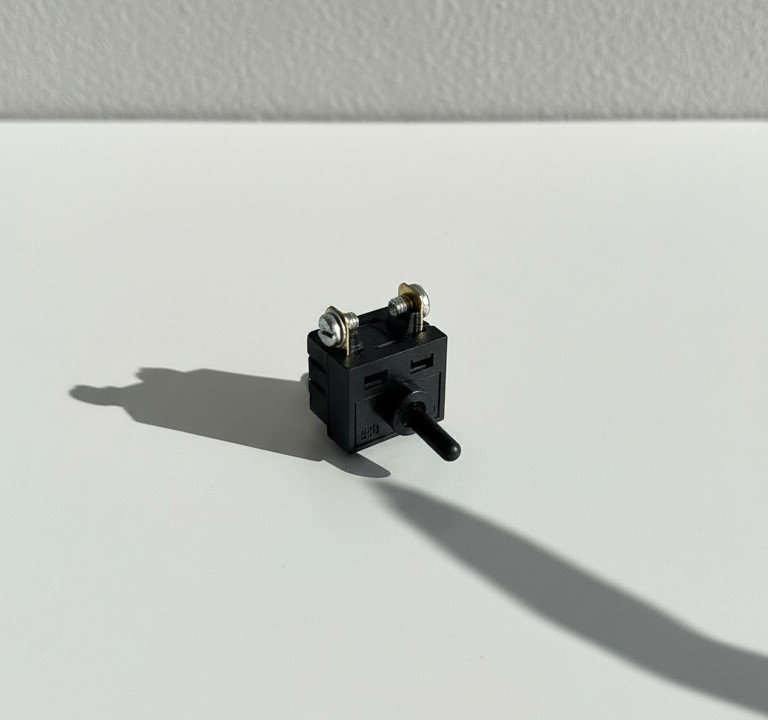 Switch Bor SW-301 Black