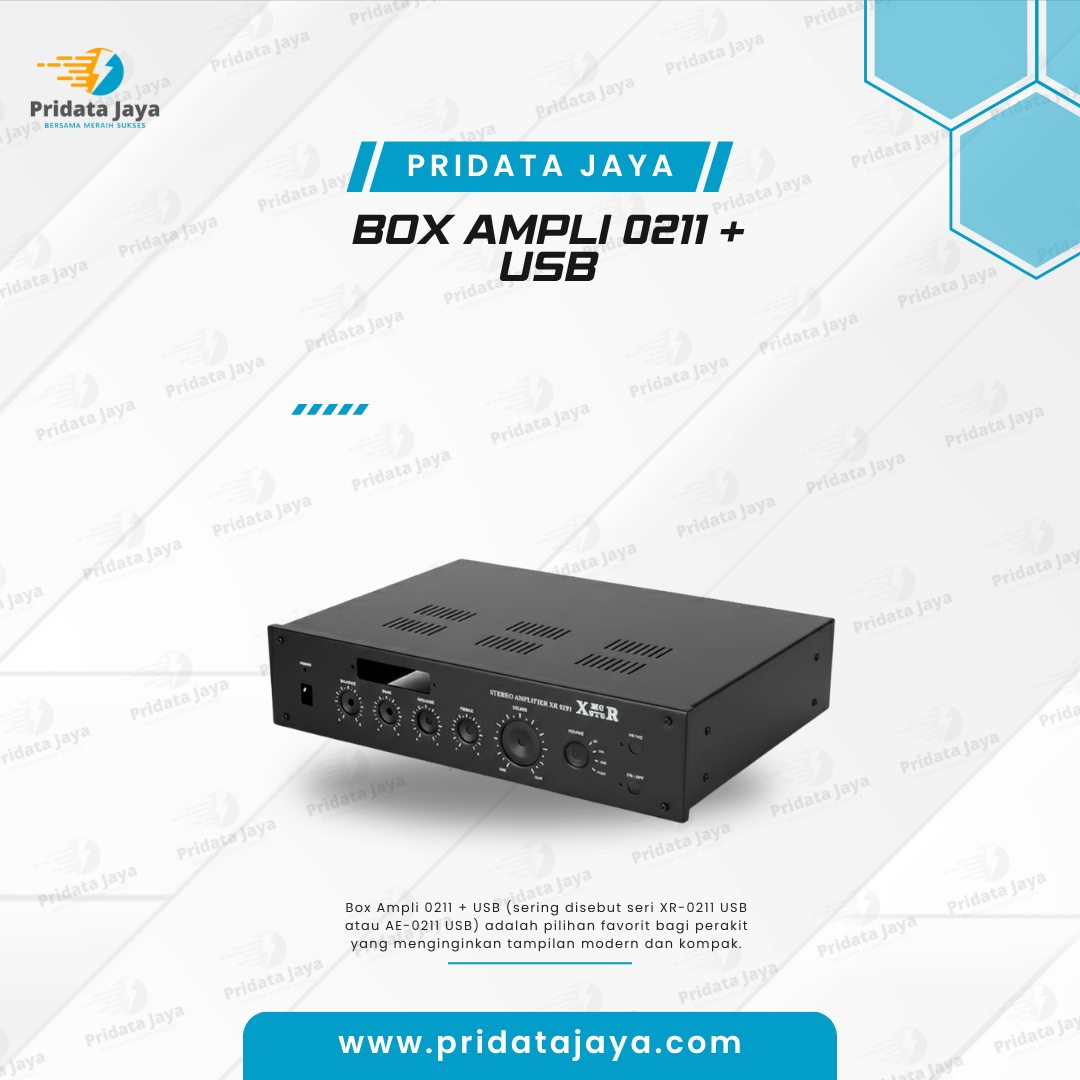 Box Ampli 0211 + Usb