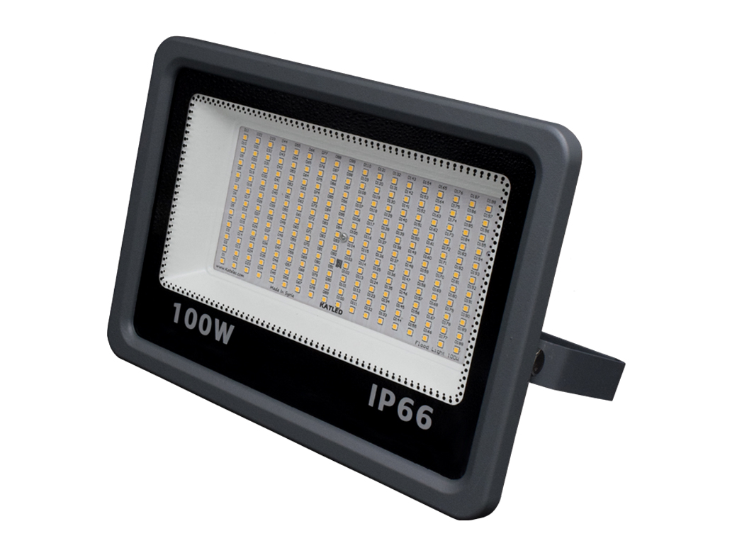 Floodlight Wing Lock 100w 6500K