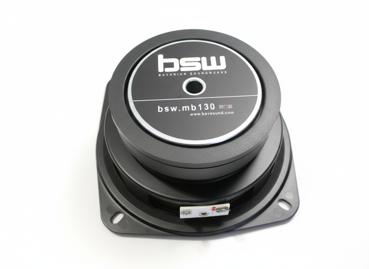 Megaphone BSW M5